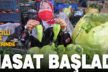 Denizli’nin tescilli Kale Biberi’nde hasat başladı