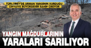 Büyükşehir orman yangınlarının yaraları sarmaya devam ediyor