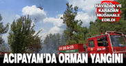Acıpayam’da orman yangını