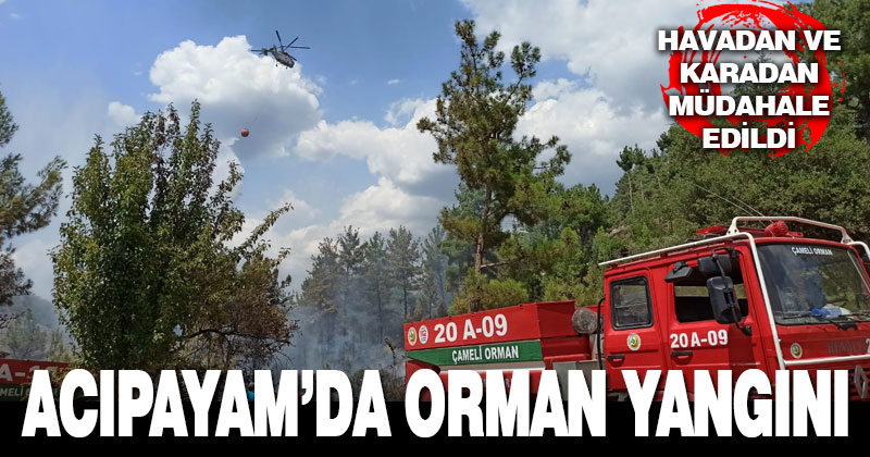 Acıpayam’da orman yangını