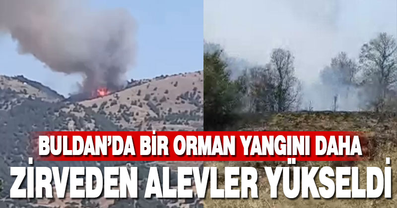 Buldan’ın Yayla Mahallesi’nde orman yangını çıktı