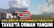 Tavas’ta orman yangını çıktı