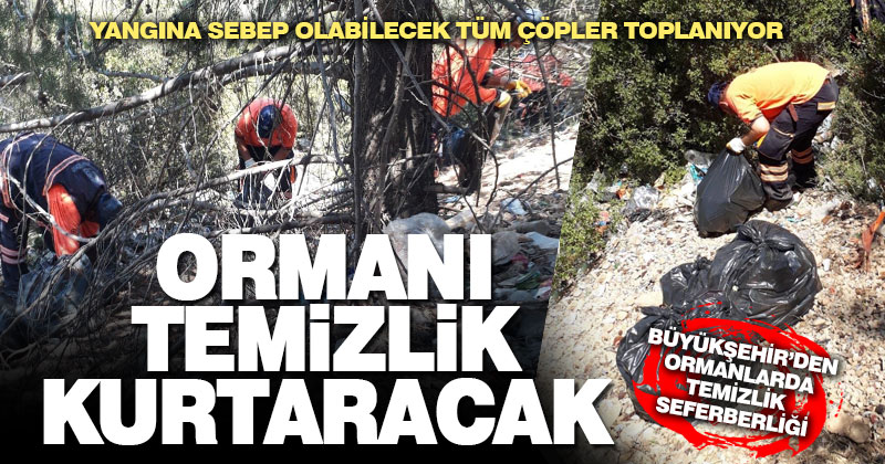 Büyükşehir’den ormanlarda temizlik seferberliği
