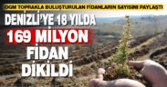 Denizli’ye 18 yılda 169 milyon fidan dikildi