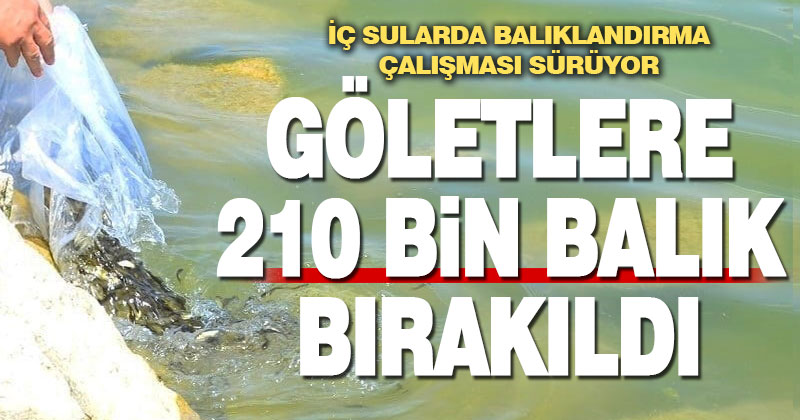 Denizli’deki göllere 210 bin yavru sazan bırakıldı
