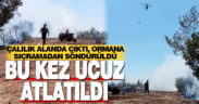 Çalılık yangını ormana sıçramadan söndürüldü