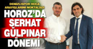 Denizlispor’un teknik direktörü Serhat Gülpınar oldu