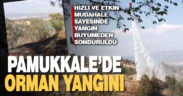 Karşıyaka’da orman yangını. Alevler büyümeden kontrol altına alındı
