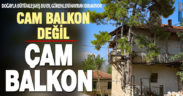 Çam ağacıyla bütünleşmiş köy evi, görenleri hayran bırakıyor