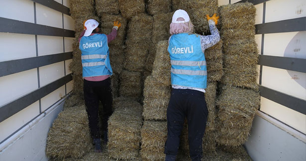 Yangın mağduru üreticiye yem ve saman desteği