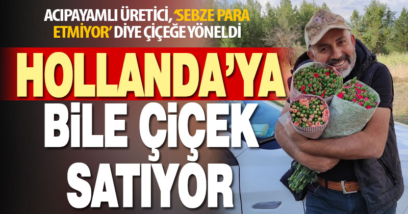 Denizlili üretici, sebzeden vazgeçip çiçeğe yöneldi, ihracata başladı