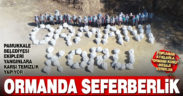 Pamukkale Belediyesi yangınlara karşı ormanlık alanlarda temizlik yapıyor
