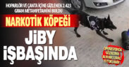 Narkotik köpeği Jiby hoparlör içine gizlenen uyuşturucuyu buldu