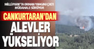 Cankurtaran Milli Parkı’nda orman yangını