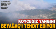 Köyceğiz yangını Denizli’ye dayandı