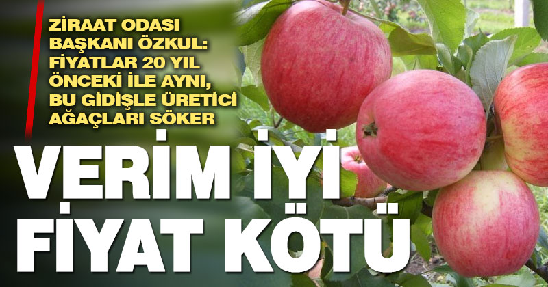 Çivril Elması 20 sene önceki fiyattan satılıyor