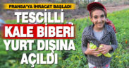 Tescilli Kale biberi, kalitesiyle yurt dışına açıldı