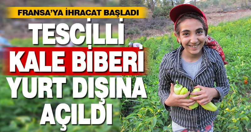 Tescilli Kale biberi, kalitesiyle yurt dışına açıldı