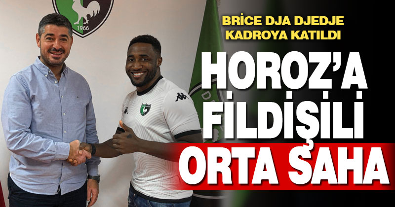 Denizlispor, Fildişi Sahilli futbolcu Brice Dja Djedje’yi transfer etti