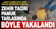 Uyuşturucu ticareti yapmak suçundan aranan zehir taciri pamuk tarlasında yakalandı