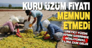 Denizlili üretici, TMO’nun 1 TL’lik kuru üzüm zammını beğenmedi