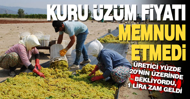 Denizlili üretici, TMO’nun 1 TL’lik kuru üzüm zammını beğenmedi