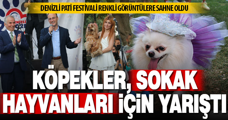 Denizli Pati Festivali’nde köpekler sokak hayvanları için yarıştı