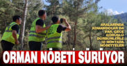 Denizli’de orman yangınlarına karşı gönüllüler de nöbette