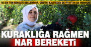 Denizlili nar üreticisi, sezondan umutlu