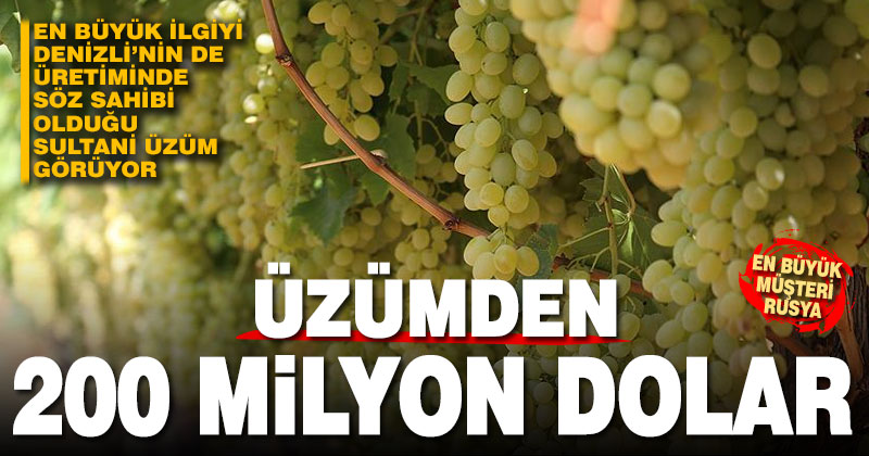 Türkiye’nin yaş üzüm ihracatı yüzde 22 arttı: Denizli’nin sultani üzümü ilk sırada