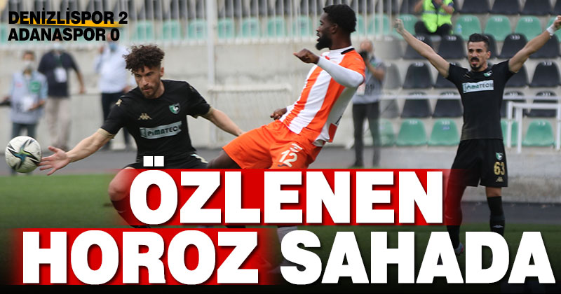 Denizlispor evinde Adanaspor’u 2-0 ile geçti