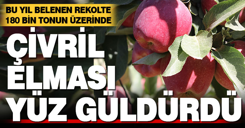 Ege’nin elma deposu Çivril’de rekolte beklentisi 180 bin ton