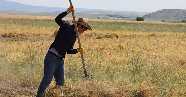 Üreticilere 100 ton gübre desteği