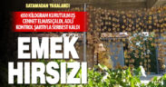 650 kilogram cennet elması çaldığı iddia edilen zanlı adli kontrol şartıyla serbest kaldı