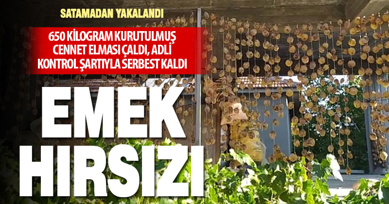 650 kilogram cennet elması çaldığı iddia edilen zanlı adli kontrol şartıyla serbest kaldı