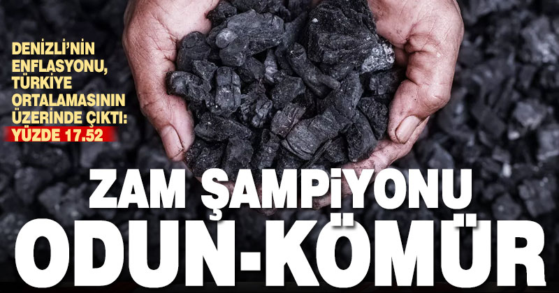 Eylül ayında en çok fiyat artışı odun ve kömürde oldu