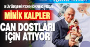 Büyükşehir’den örnek proje: Minik kalpler can dostları için atıyor