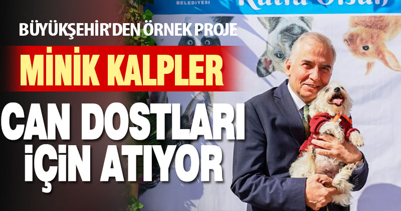 Büyükşehir’den örnek proje: Minik kalpler can dostları için atıyor