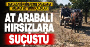 Tarladaki damlama borularını çalan at arabalı hırsızlar suçüstü yakalandı