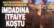 Kale’de kuyuya düşen köpeği itfaiye ekipleri kurtardı
