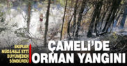 Çameli’de orman yangını büyümeden söndürüldü