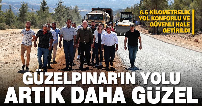Büyükşehir Güzelpınar Yolu’nu güzelleştirdi