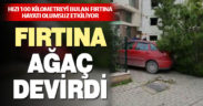 Denizli fırtınanın etkisinde, ağaç devrildi