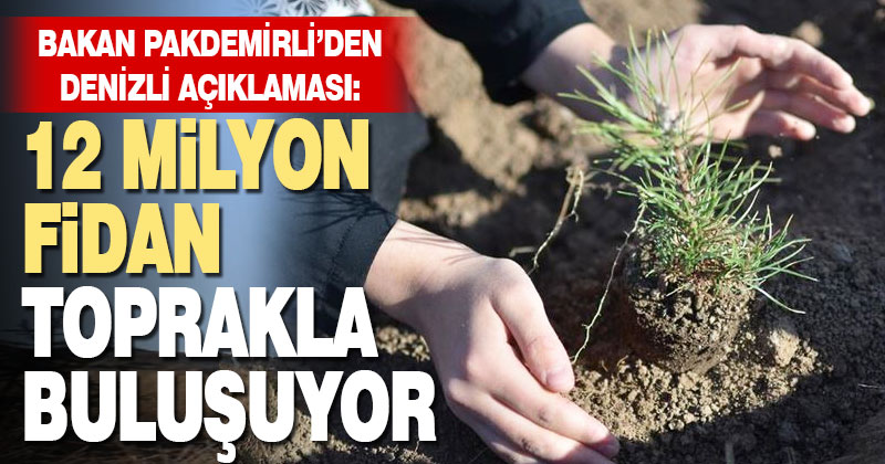 Denizli’ye yaklaşık 12 milyon fidan dikilecek