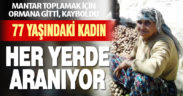 Acıpayam’da mantar toplamak için gittiği ormanda kaybolan kadın aranıyor