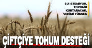 Üreticiye yüzde 50 hibeyle buğday tohumu desteği