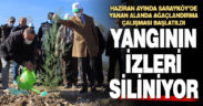 Sarayköy’de dikilen fidanlar, yangının izlerini silecek