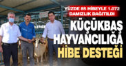 Yetiştiricilere yüzde 85 hibeyle 1.072 hayvan verildi