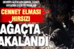 Honaz’da cennet elması bahçesine giren 3 hırsız, suçüstü yakalandı