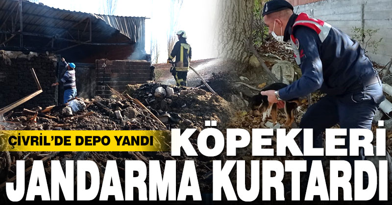 Çivril’de yangın çıkan depoda bulunan köpekleri jandarma kurtardı